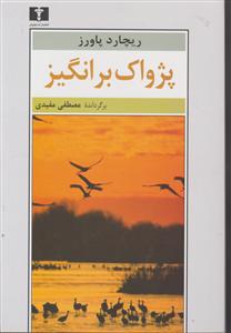 پژواک بر انگیز