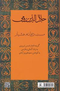 جلال الدین رومی اشعار شمس تبریزی آلمانی فارسی