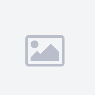 استدلر ماژیک وایت برد قرمز