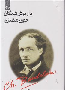 جنون هشیاری