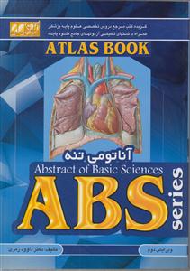 abs آناتومی تنه