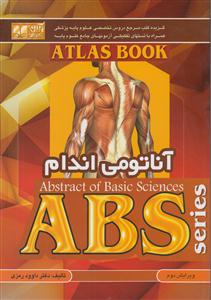 abs آناتومی اندام