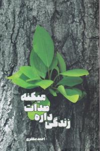 زندگی داره صدات میکنه 