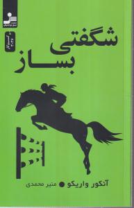 شگفتی بساز 