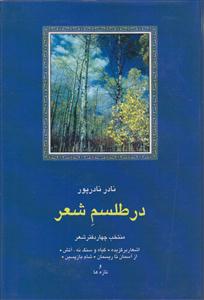 در طلسم شعر 