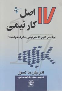 17 اصل کار تیمی 