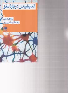 اندیشیدن درباره مغز 