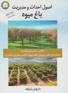 دوئل با کسی که دوسش دارم 