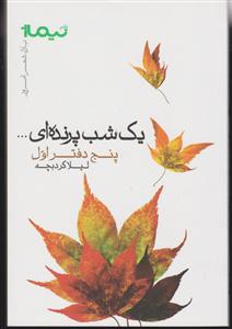 پازل شعر امروز (یک شب پرنده ای)