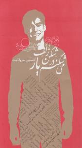 می شکنم در شکن زلف یار 