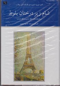 شام زیر درختان بلوط (2جلدی)