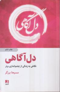 دل آگاهی (نگاهی به زندگی از چشم اندازی برتر)