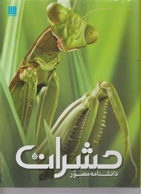 دانشنامه ی مصور حشرات