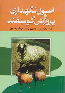 اصول نگهداری و پرورش گوسفند