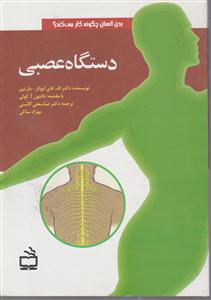 دستگاه عصبی