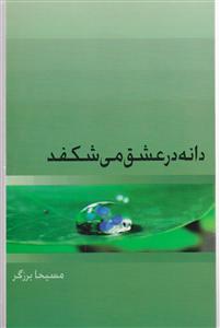 دانه در عشق می شکفد