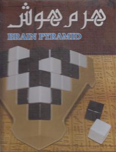 هرم هوش