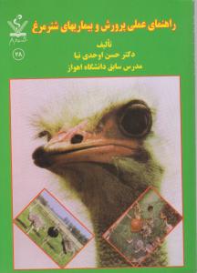 راهنمای عملی پرورش وبیماریهای شترمرغ