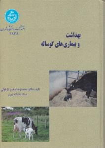 کانون فلش کارت گرامر زبان پایه و پیش