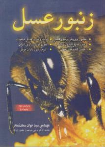 زنبور عسل