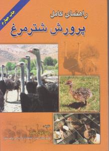 راهنمای کامل پرورش شتر مرغ