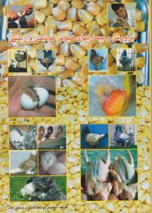 پرورش و بیماریهای کبوترگوشتی وزینتی
