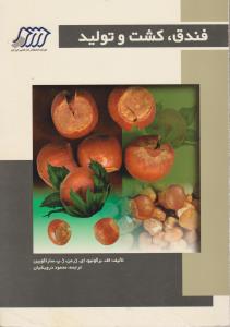 فندق،کشت و تولید