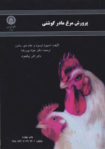 پرورش مرغ مادر گوشتی