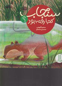 سنجاب کجارفته بود