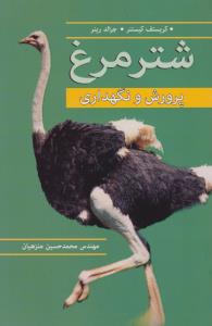 شتر مرغ پرورش و نگهداری