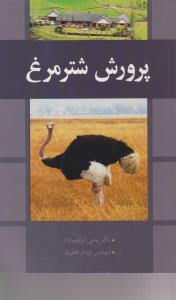 پرورش شتر مرغ