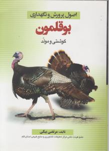 اصول پرورش ونگهداری بوقلمون گوشتی ومولد