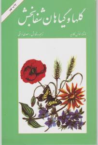 گلها و گیاهان شفا بخش