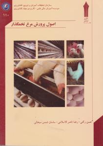 اصول پرورش مرغ تخمگذار