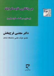 جرم انگاری فایده گرایانه     جستاری در فلسفه حقوق کیفری