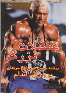 عضلات بزرگ