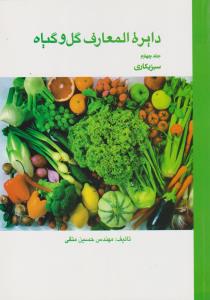 دایره المعارف گل و گیاه  جلد4 سبزیکاری