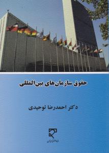 حقوق سازمان های بین المللی