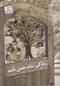 زندگی شاید همین باشد
