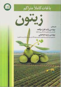 باغات کاملامتراکم زیتون