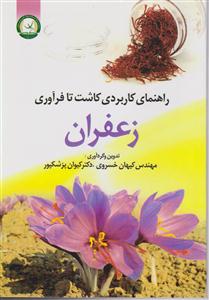 رهنمای کاربردی کاشت تا فرآوری زعفران