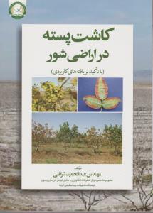کاشت پسته در اراضی شور 