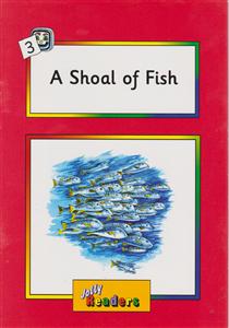 a shoal of fish(قرمز)