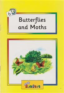 butterflies and moths(زرد)