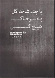 با چند شاخه گل به سر خاک هیچکس