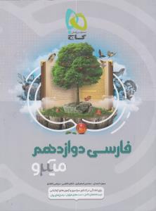 گاج میکرو فارسی دوازدهم تست